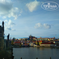 фото из отзыва ID 2095950