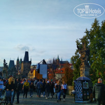 фото из отзыва ID 2095950