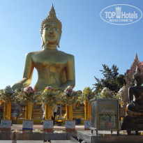 фото из отзыва ID 2100071