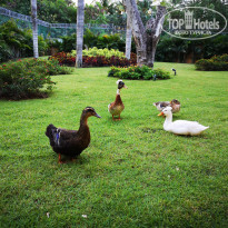 фото из отзыва ID 2100088