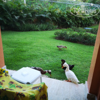 фото из отзыва ID 2100088