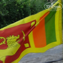 фото из отзыва ID 2100162