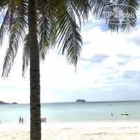 фото из отзыва ID 2100218