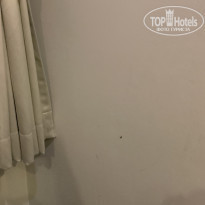 фото из отзыва ID 2100228