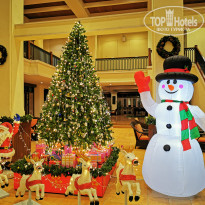 фото из отзыва ID 2100423