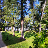 фото из отзыва ID 2100423