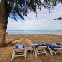 фото из отзыва ID 2100423