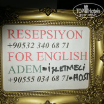 фото из отзыва ID 2100305