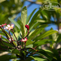 фото из отзыва ID 2100497