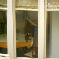 фото из отзыва ID 2100561