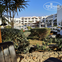 фото из отзыва ID 2100574