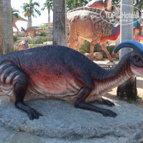 фото из отзыва ID 2100039