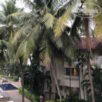 фото из отзыва ID 2100688