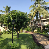 фото из отзыва ID 2100688