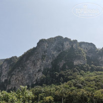 фото из отзыва ID 2100744