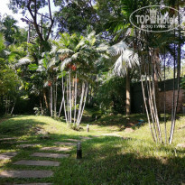 фото из отзыва ID 2100773