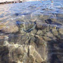 фото из отзыва ID 2100867