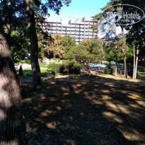 фото из отзыва ID 2100883