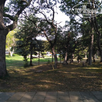 фото из отзыва ID 2100883