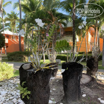 фото из отзыва ID 2100846