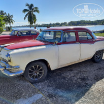 фото из отзыва ID 2100963