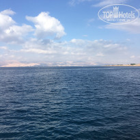 фото из отзыва ID 2101094