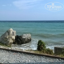 фото из отзыва ID 2101098