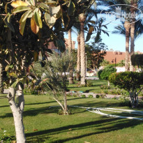 фото из отзыва ID 2101113