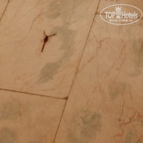 фото из отзыва ID 2100919