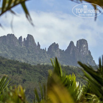 фото из отзыва ID 2101227