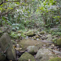 фото из отзыва ID 2101227