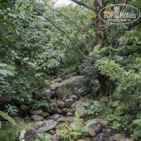 фото из отзыва ID 2101227