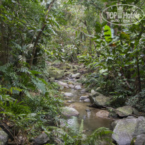 фото из отзыва ID 2101227