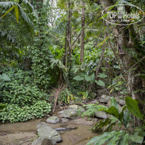 фото из отзыва ID 2101227