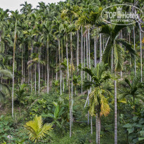 фото из отзыва ID 2101227