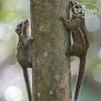 фото из отзыва ID 2101227