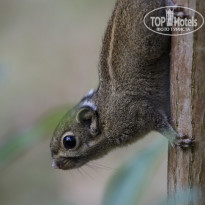 фото из отзыва ID 2101227