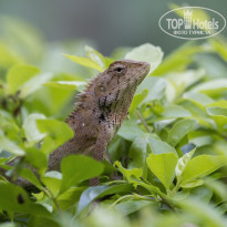 фото из отзыва ID 2101227