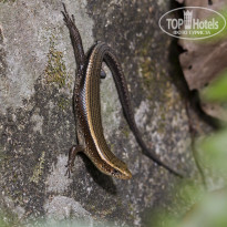 фото из отзыва ID 2101227