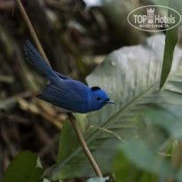 фото из отзыва ID 2101227