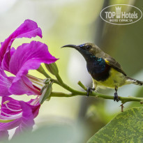 фото из отзыва ID 2101227