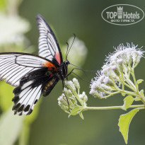 фото из отзыва ID 2101227