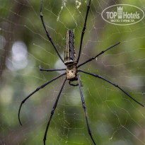 фото из отзыва ID 2101227