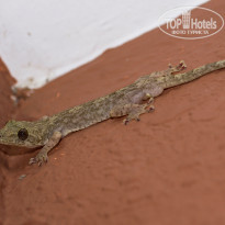 фото из отзыва ID 2101227