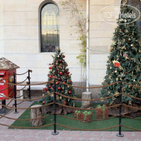 фото из отзыва ID 2101241