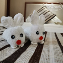 фото из отзыва ID 2101174