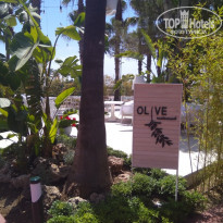 фото из отзыва ID 2101264