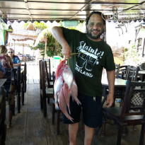 фото из отзыва ID 2101260