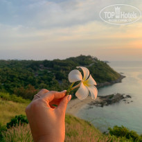 фото из отзыва ID 2101309