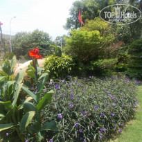 фото из отзыва ID 2101376